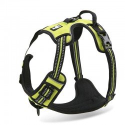 Discover our range of TrueLove dog Harnesses - official store