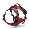 Truelove Country harness