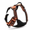 Truelove Country harness