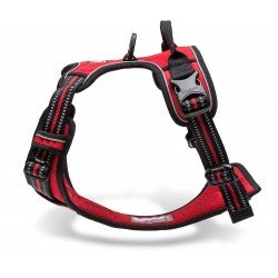 Truelove Country harness