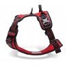 Truelove Country harness