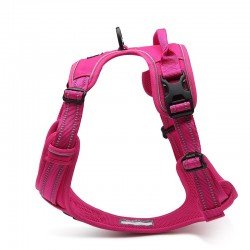 Truelove Country harness