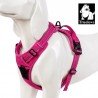 Truelove Country harness