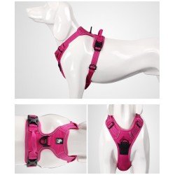 Truelove Country harness