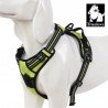 Truelove Country harness