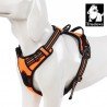 Truelove Country harness