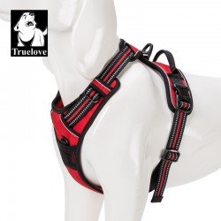 Truelove Country harness