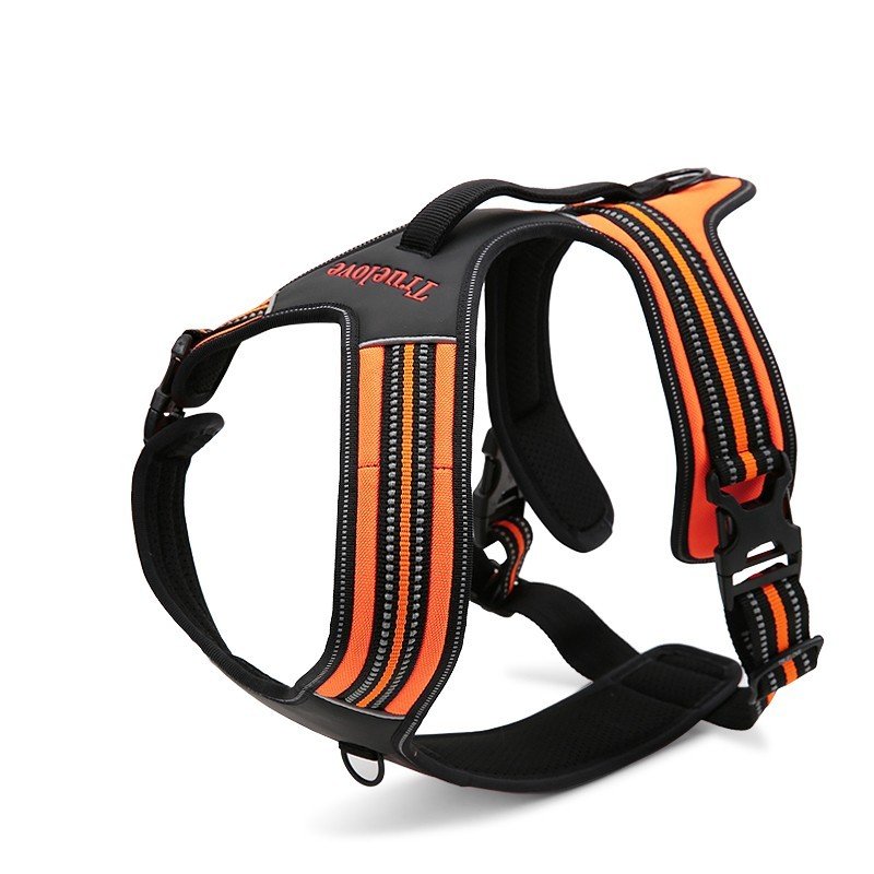 Truelove Forest harness