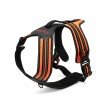 Truelove Forest harness