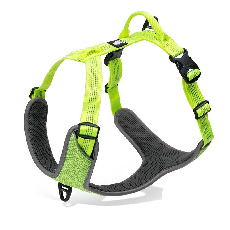 Truelove Mountain harness