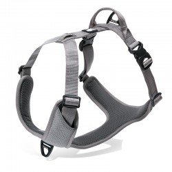 Truelove Mountain harness