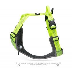 Truelove Mountain harness