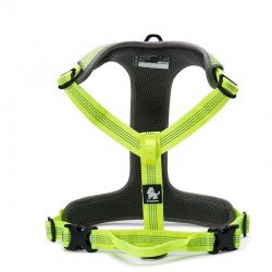 Truelove Mountain harness