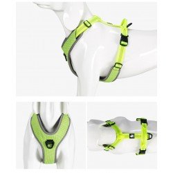 Truelove Mountain harness