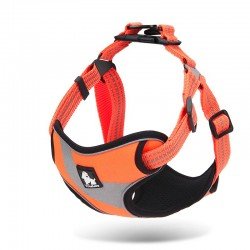 Truelove Training harness