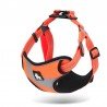 Truelove Training harness