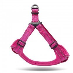 Truelove Training harness