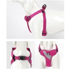 Truelove Training harness