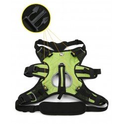 Truelove Excursion harness