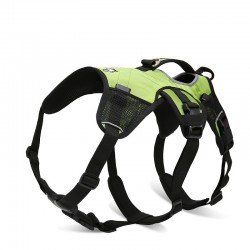 Truelove Excursion harness