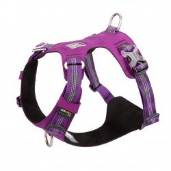 Truelove colorado + harness