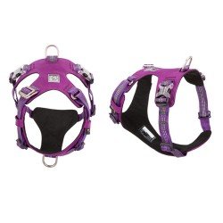 Truelove colorado + harness