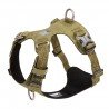 Truelove Colorado harness