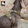 Truelove Colorado harness