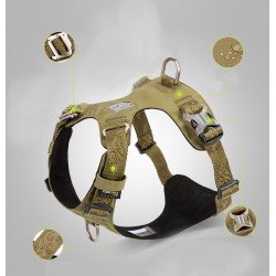 Truelove Colorado harness