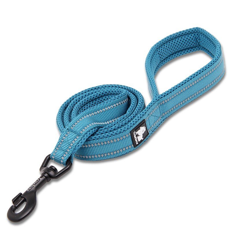 Truelove Walk leash