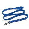 Truelove Walk leash