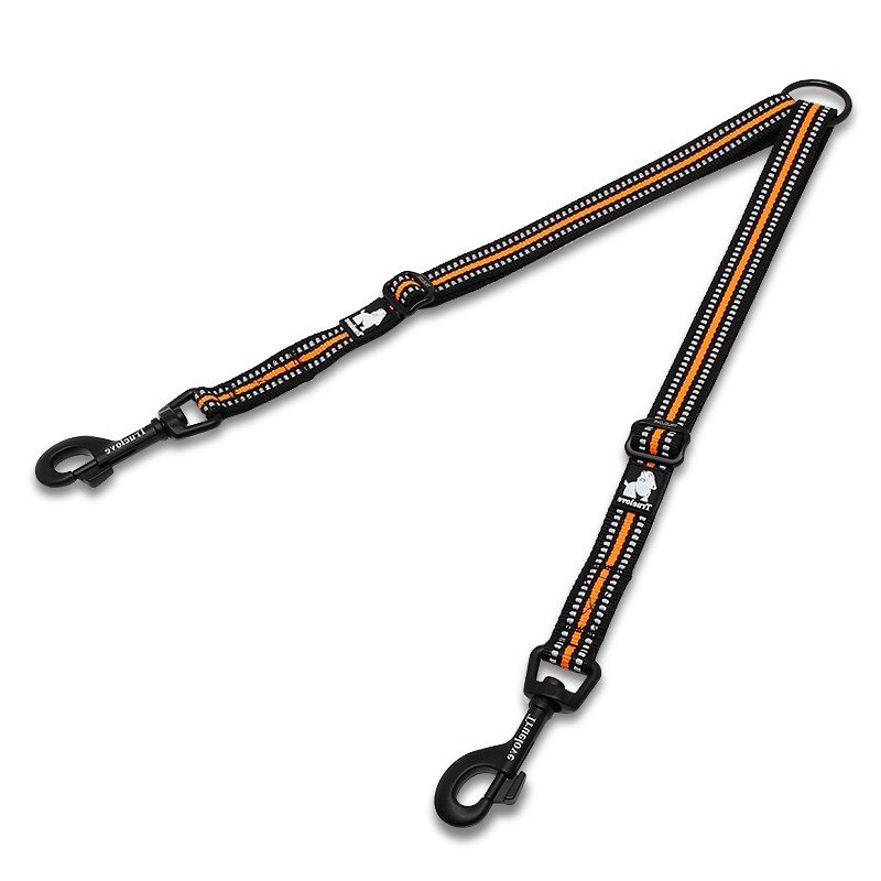 Dog leash with two hot sale hooks