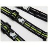 Truelove 3 points dog leash