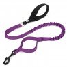 Truelove Flow leash