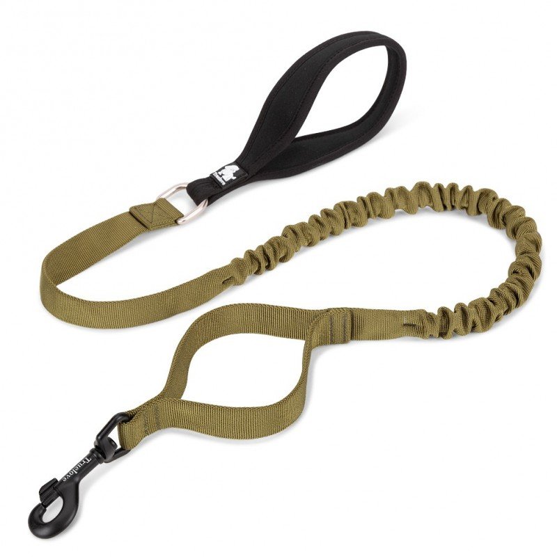 Truelove Flow leash