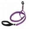 Truelove Flow leash