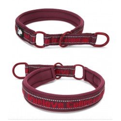 Truelove STOP collar