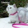 Collar y correa Truelove CUTE para gatos