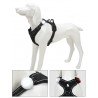 TRUELOVE LED for collars, leashes and harnesses