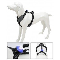 TRUELOVE LED for collars, leashes and harnesses