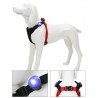 TRUELOVE LED for collars, leashes and harnesses