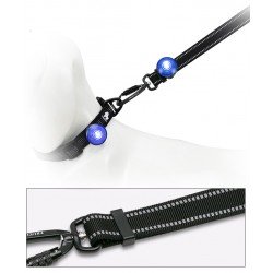 TRUELOVE LED for collars, leashes and harnesses